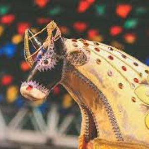 Série de fotos mostra porque o São João do Maranhão é apaixonante | São joão, Maranhão, Tipos de dança